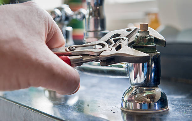 Best Flood damage cleanup  in Rye Brook, NY